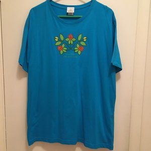 Smithsonian, Museum of the American Indian tee shirt, faux beadwork, 2XL, teal